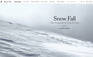 Landing Page of Snowfall