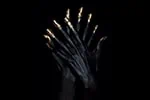 Hands