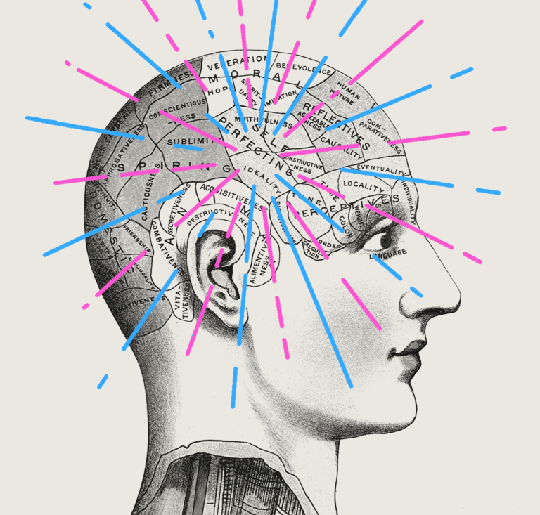 A Gendered Brain book cover image