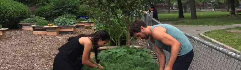 garden care
