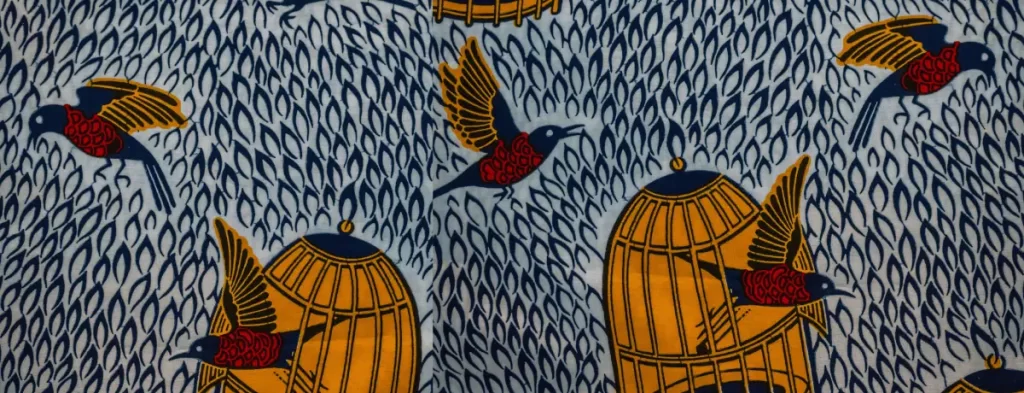 Colorful birds and cages with a bold, patterned background highlighting cultural art.