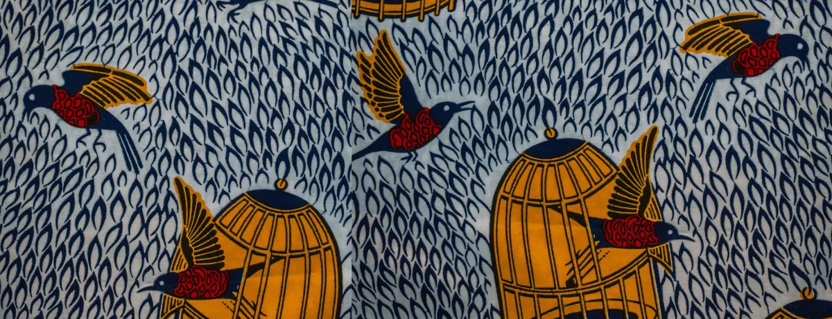 Colorful birds and cages with a bold, patterned background highlighting cultural art.