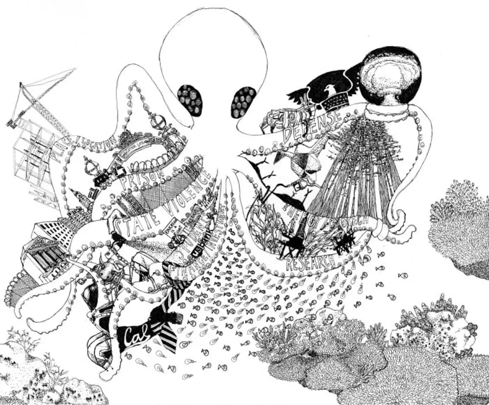 octopus illustration by Nicci Yin