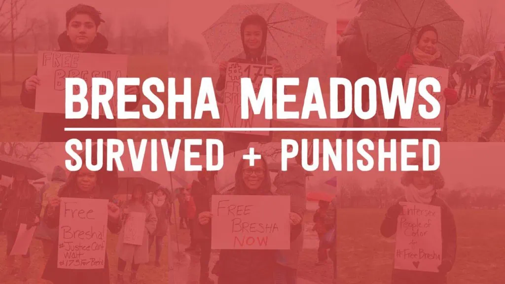 Bresha Meadows - Survived and Punished