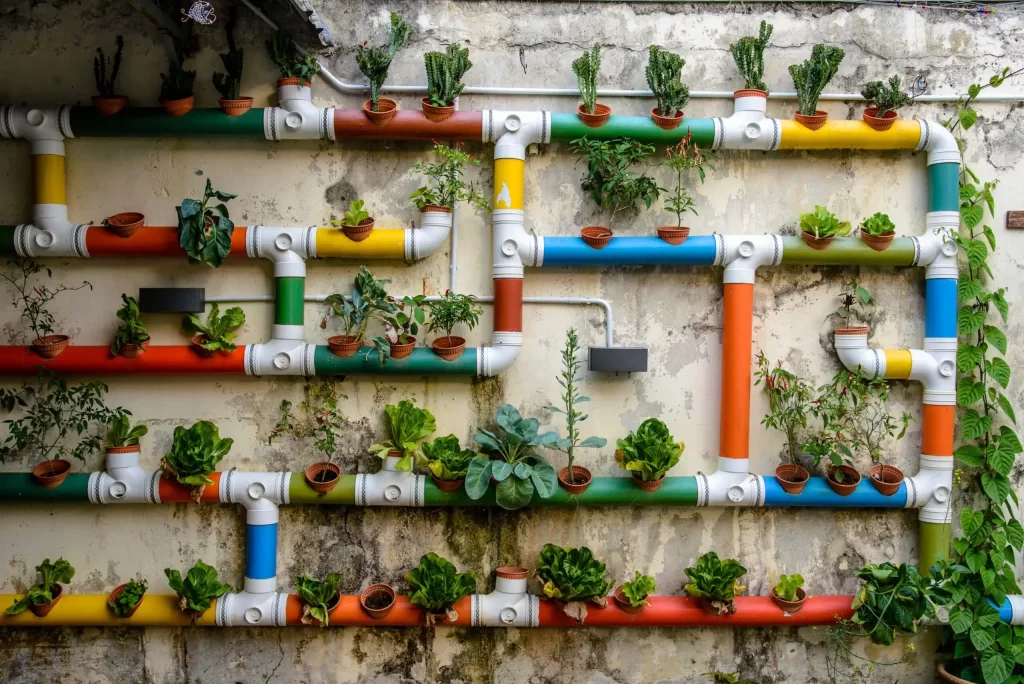 Urban,Gardening,,Malacca,,Malaysia